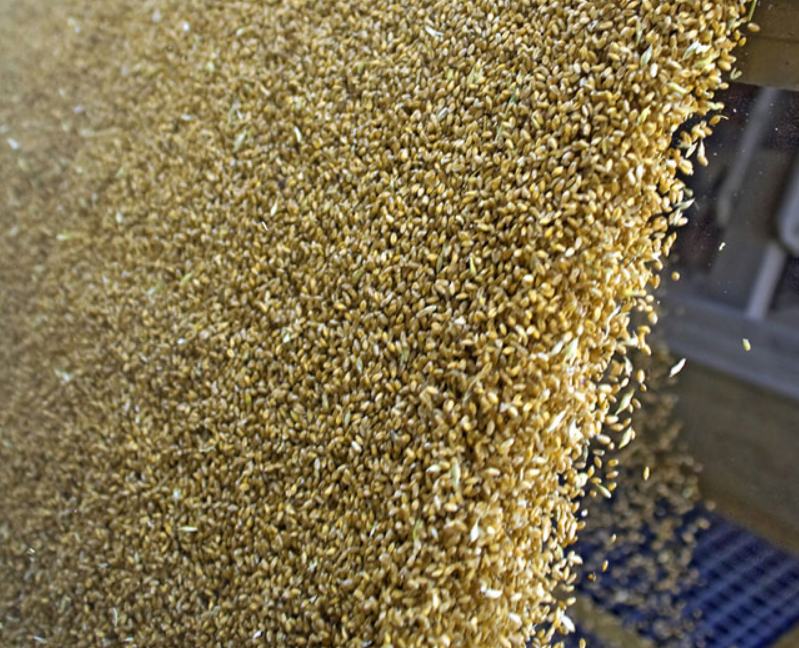 Ulaz sirovina | Poljoprivredna industrija - Sartorius Croatia 