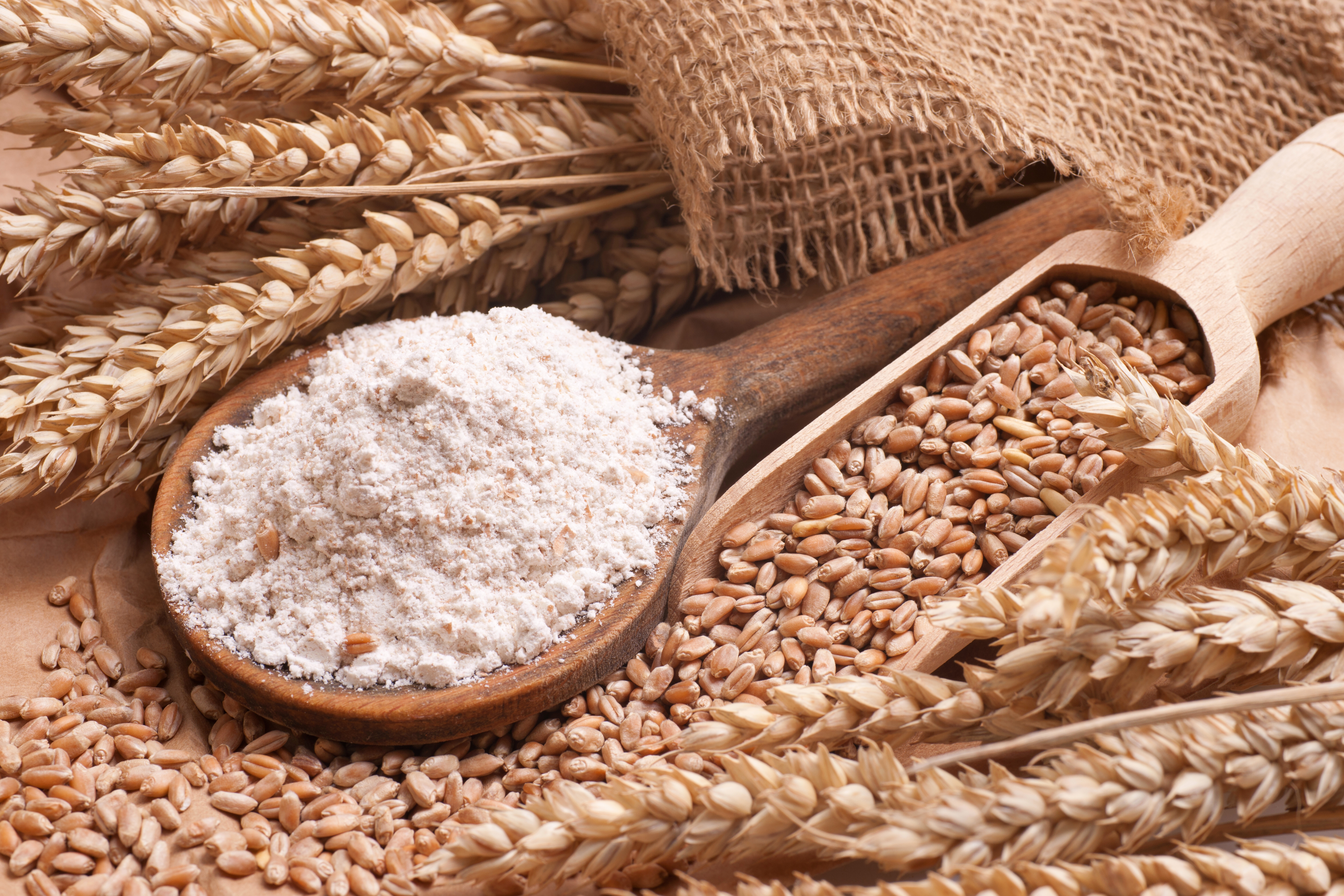 Poljoprivredna industrija - Sartorius Croatia 