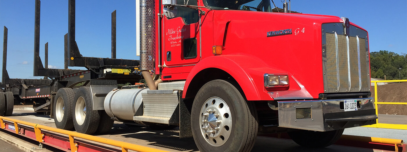 Mjerne ćelije za teretna vozila - Sartorius Croatia 